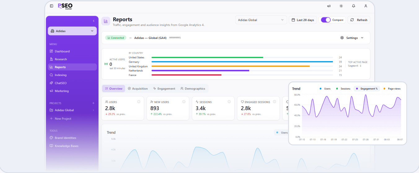 Reports dashboard with traffic, engagement and audience charts